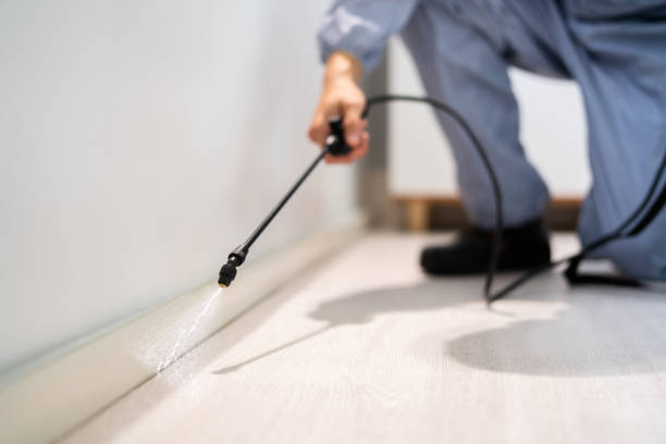 Licensed Pest Control service in Rhome, TX - Show Me Pest Control